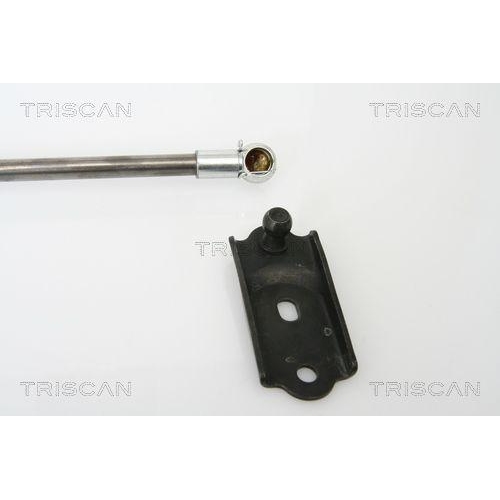 Gasfeder, Koffer-/Laderaum TRISCAN 8710 13253 f&uuml;r TOYOTA, hinten links, links
