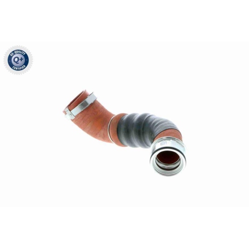 Ladeluftschlauch VAICO V10-2919 Q+, Erstausrüsterqualität für AUDI SEAT SKODA VW