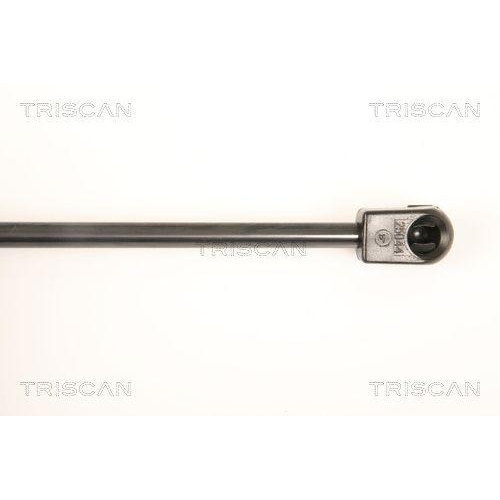 Gasfeder, Koffer-/Laderaum TRISCAN 8710 66204 f&uuml;r SEAT, hinten links