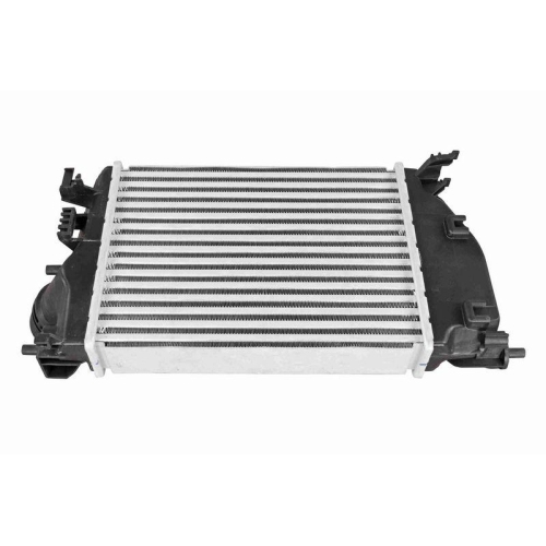 ACKOJA A38-60-0026 Ladeluftk&uuml;hler Original ACKOJA Qualit&auml;t f&uuml;r NISSAN