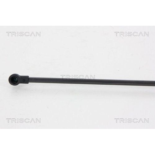 Gasfeder, Koffer-/Laderaum TRISCAN 8710 66207 f&uuml;r SEAT, hinten links