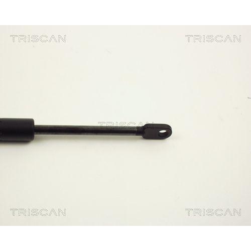 Gasfeder, Heckscheibe TRISCAN 8710 11217 f&uuml;r BMW
