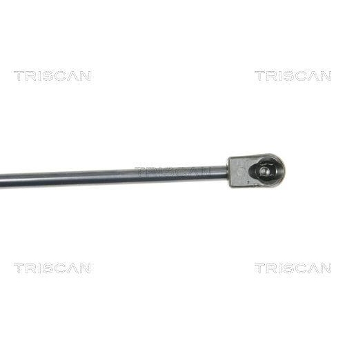 Gasfeder, Heckscheibe TRISCAN 8710 16251 f&uuml;r FORD