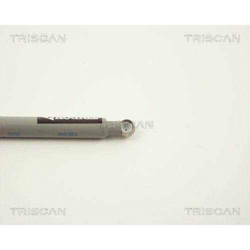 Gest&auml;nged&auml;mpfer, Einspritzanlage TRISCAN 8710 2309 f&uuml;r MERCEDES-BENZ