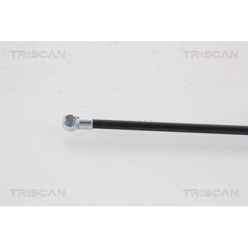 Gasfeder, Koffer-/Laderaum TRISCAN 8710 25221 für RENAULT, hinten links