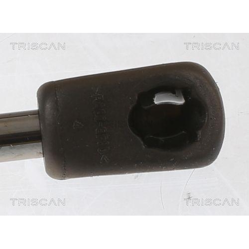 Gasfeder, Koffer-/Laderaum TRISCAN 8710 67205 f&uuml;r SKODA