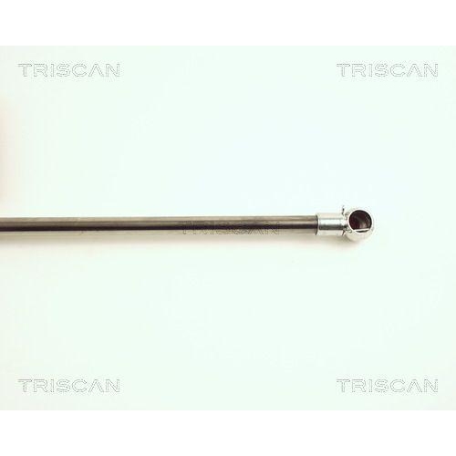 Gasfeder, Koffer-/Laderaum TRISCAN 8710 25225 für JAGUAR RENAULT, hinten links