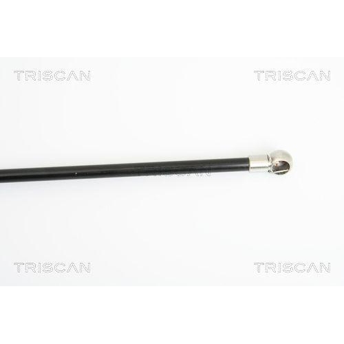 Gasfeder, Koffer-/Laderaum TRISCAN 8710 25229 f&uuml;r RENAULT, hinten links