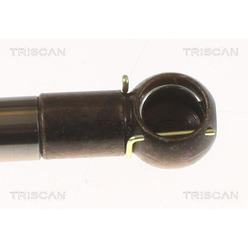 Gasfeder, Koffer-/Laderaum TRISCAN 8710 50213 f&uuml;r MAZDA, rechts