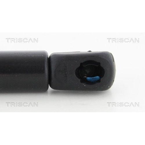 Gasfeder, Koffer-/Laderaum TRISCAN 8710 14252 f&uuml;r NISSAN VW, hinten links