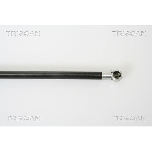 Gasfeder, Koffer-/Laderaum TRISCAN 8710 25230 f&uuml;r RENAULT, hinten links