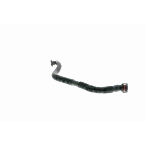 Schlauch, Kurbelgeh&auml;useentl&uuml;ftung VAICO V20-7388 Original VAICO Qualit&auml;t f&uuml;r BMW