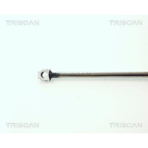 Gasfeder, Koffer-/Laderaum TRISCAN 8710 11202 f&uuml;r BMW