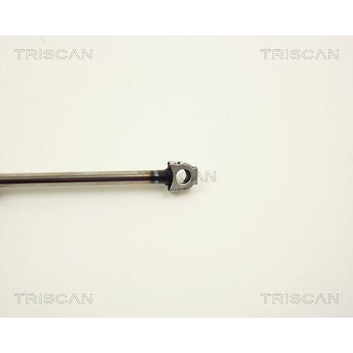 Gasfeder, Koffer-/Laderaum TRISCAN 8710 11203 f&uuml;r BMW