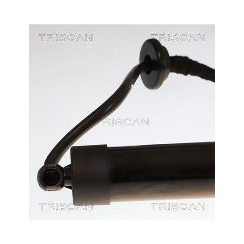 TRISCAN 8710 25301 Gasfeder, Koffer-/Laderaum f&uuml;r RENAULT, hinten links