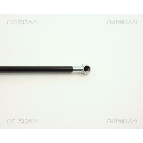 Gasfeder, Koffer-/Laderaum TRISCAN 8710 11206 f&uuml;r BMW, links