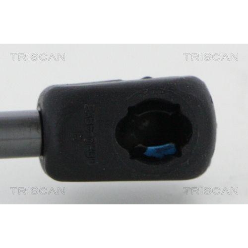 Gasfeder, Koffer-/Laderaum TRISCAN 8710 38246 für CITROËN, hinten links