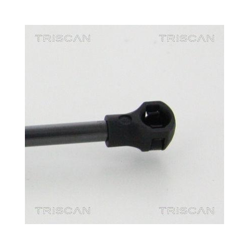 Gasfeder, Koffer-/Laderaum TRISCAN 8710 38247 für CITROËN, hinten links