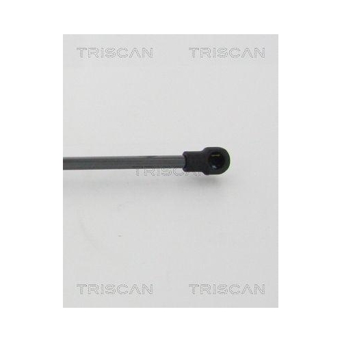 Gasfeder, Koffer-/Laderaum TRISCAN 8710 42244 f&uuml;r MITSUBISHI, hinten links