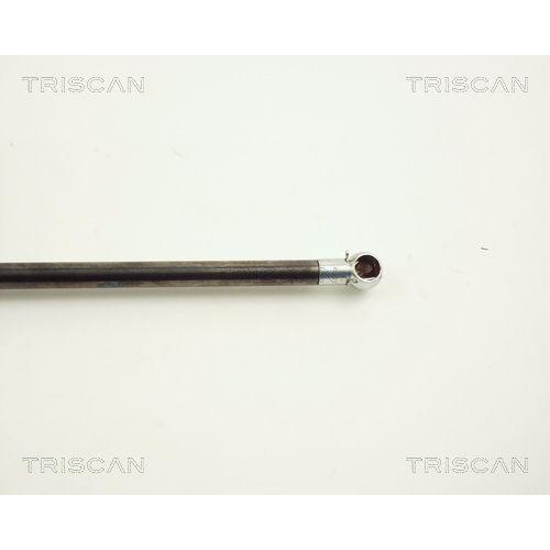 Gasfeder, Koffer-/Laderaum TRISCAN 8710 11215 f&uuml;r BMW