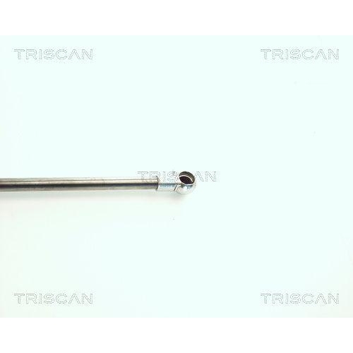 Gasfeder, Koffer-/Laderaum TRISCAN 8710 11216 f&uuml;r BMW, hinten links