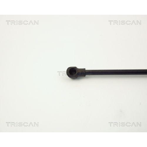 Gasfeder, Koffer-/Laderaum TRISCAN 8710 11220 f&uuml;r