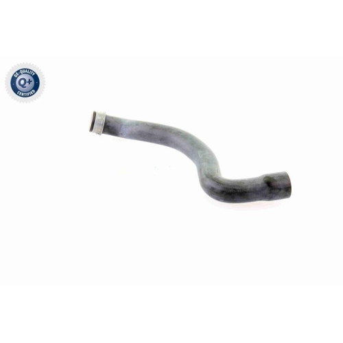 K&uuml;hlerschlauch VAICO V30-1655 Q+, Erstausr&uuml;sterqualit&auml;t f&uuml;r MERCEDES-BENZ, oben