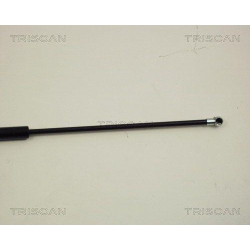 Gasfeder, Koffer-/Laderaum TRISCAN 8710 28216 f&uuml;r CITRO&Euml;N PEUGEOT, hinten links