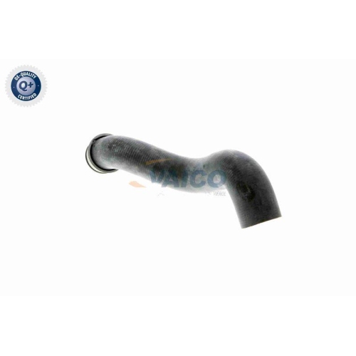 K&uuml;hlerschlauch VAICO V30-1656 Q+, Erstausr&uuml;sterqualit&auml;t f&uuml;r MERCEDES-BENZ, unten
