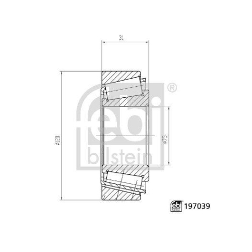 Radlager FEBI BILSTEIN 197039 f&uuml;r IVECO MAN MERCEDES-BENZ, Hinterachse, au&szlig;en