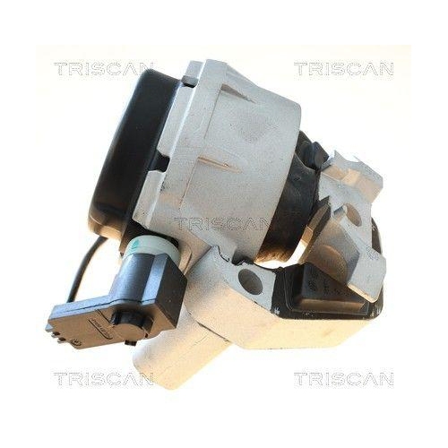 TRISCAN 8505 29198 Lagerung, Motor f&uuml;r AUDI, links, rechts, vorne