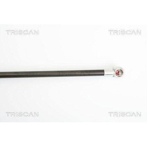 Gasfeder, Koffer-/Laderaum TRISCAN 8710 21206 f&uuml;r CHEVROLET DAEWOO, hinten links