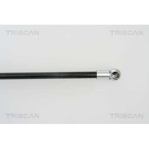 Gasfeder, Koffer-/Laderaum TRISCAN 8710 50239 für MAZDA, hinten rechts, rechts