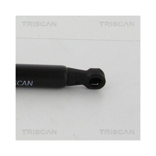 Gasfeder, Koffer-/Laderaum TRISCAN 8710 21210 f&uuml;r CHEVROLET, hinten links