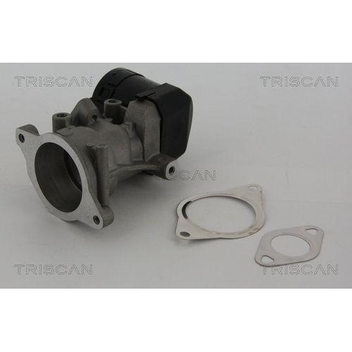 AGR-Ventil TRISCAN 8813 10001 f&uuml;r CITRO&Euml;N FIAT FORD LANCIA PEUGEOT VOLVO