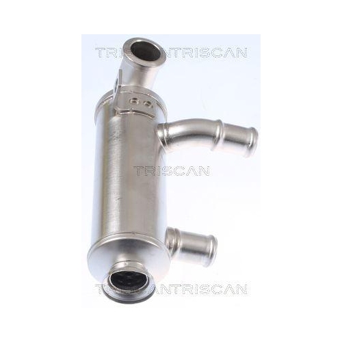 K&uuml;hler, Abgasr&uuml;ckf&uuml;hrung TRISCAN 8813 10110 f&uuml;r CITRO&Euml;N FIAT FORD PEUGEOT