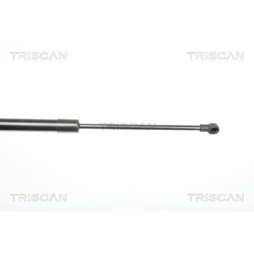 Gasfeder, Koffer-/Laderaum TRISCAN 8710 29281 für VW, hinten links