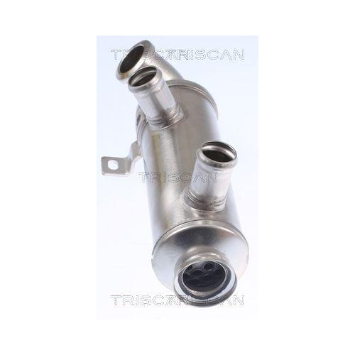 K&uuml;hler, Abgasr&uuml;ckf&uuml;hrung TRISCAN 8813 10111 f&uuml;r CITRO&Euml;N FORD PEUGEOT HITACHI