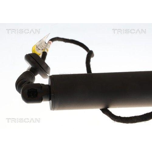 TRISCAN 8710 16317 Gasfeder, Koffer-/Laderaum f&uuml;r FORD, links