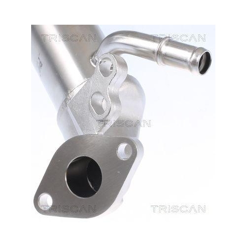 K&uuml;hler, Abgasr&uuml;ckf&uuml;hrung TRISCAN 8813 10112 f&uuml;r CITRO&Euml;N FIAT FORD PEUGEOT