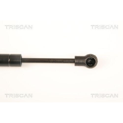 Gasfeder, Koffer-/Laderaum TRISCAN 8710 29285 f&uuml;r AUDI, hinten links