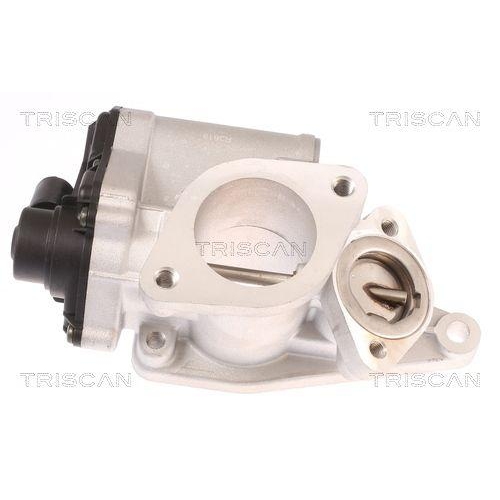 AGR-Ventil TRISCAN 8813 25012 f&uuml;r RENAULT SUZUKI