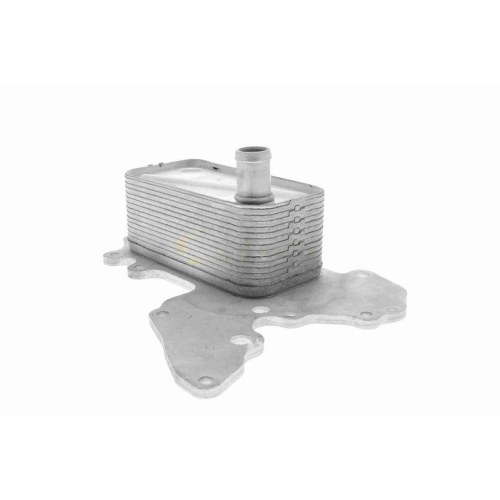 &Ouml;lk&uuml;hler, Motor&ouml;l VEMO V40-60-2119 Original VEMO Qualit&auml;t f&uuml;r OPEL SAAB CADILLAC