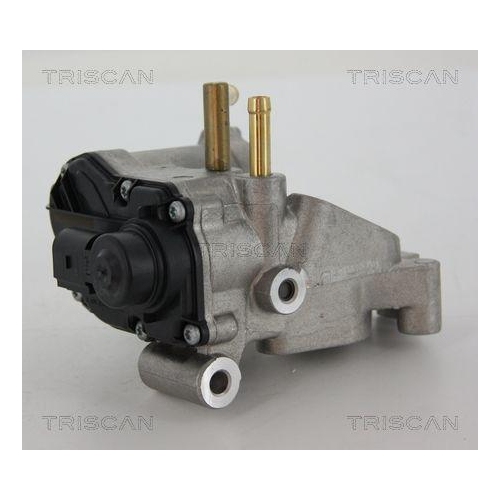 AGR-Ventil TRISCAN 8813 25018 f&uuml;r OPEL RENAULT VAUXHALL RENAULT TRUCKS