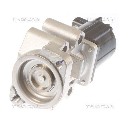 AGR-Ventil TRISCAN 8813 42001 f&uuml;r MITSUBISHI