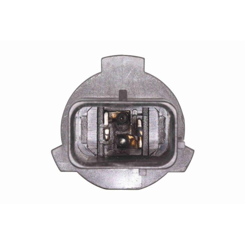 Glühlampe, Park-/Positionsleuchte VEMO V99-84-0046 Green Mobility Parts für AUDI