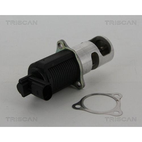 AGR-Ventil TRISCAN 8813 25038 f&uuml;r NISSAN RENAULT DACIA