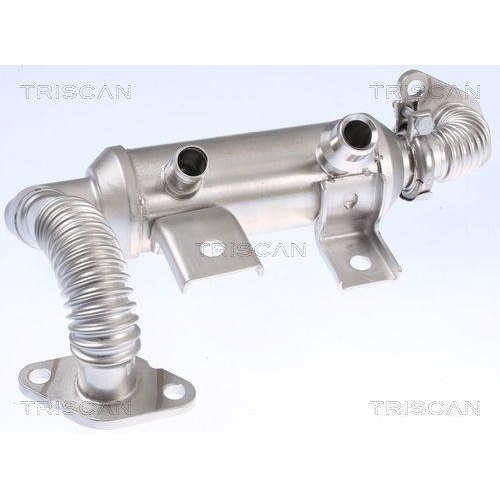 K&uuml;hler, Abgasr&uuml;ckf&uuml;hrung TRISCAN 8813 16103 f&uuml;r FORD