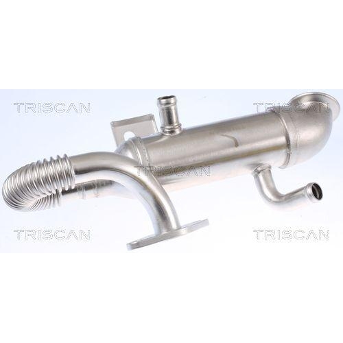 K&uuml;hler, Abgasr&uuml;ckf&uuml;hrung TRISCAN 8813 16105 f&uuml;r FORD