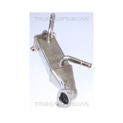 K&uuml;hler, Abgasr&uuml;ckf&uuml;hrung TRISCAN 8813 16106 f&uuml;r CITRO&Euml;N FORD PEUGEOT HITACHI